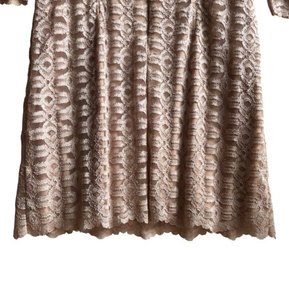 Eliza J Lace Dress Size 16 Champange - Picture 8 of 12